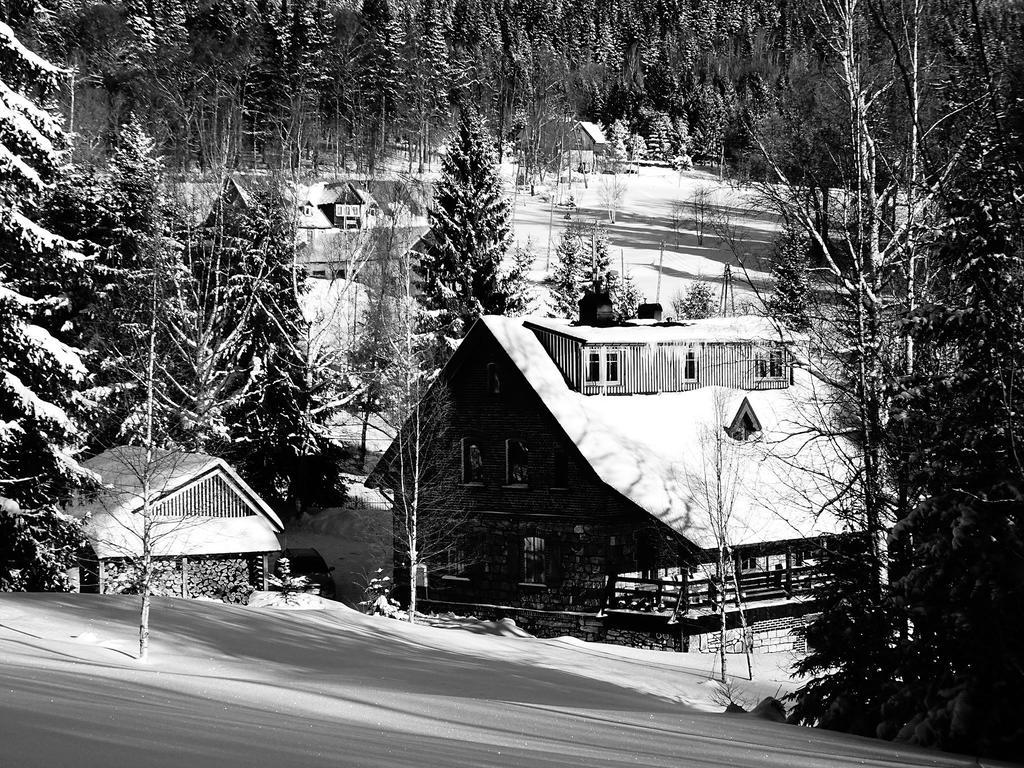 Borszówka Dom Nad Potokiem - Bed & Breakfast *